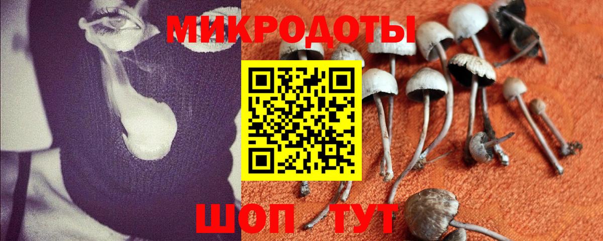 Екатеринбург  Галлюциногенные грибы MAGIC MUSHROOMS  Вход с VPN  Псилоцибиновые грибы MAGIC MUSHROOMS 